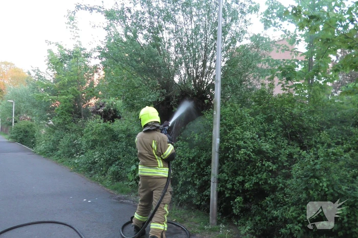 Brand in berm en boom bestreden door brandweer