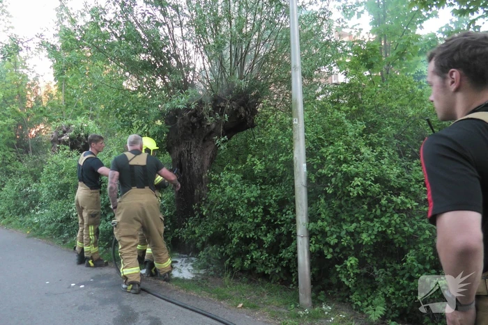 Brand in berm en boom bestreden door brandweer