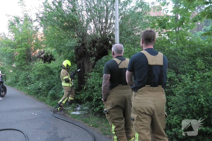 Brand in berm en boom bestreden door brandweer