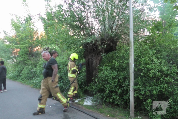 Brand in berm en boom bestreden door brandweer
