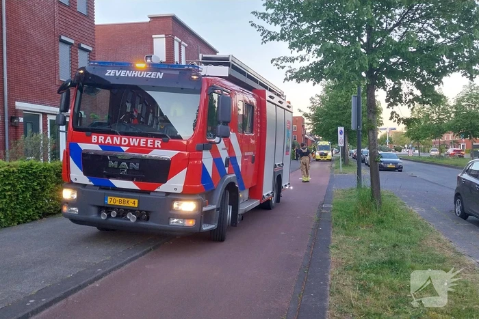 nieuws laan van dada rotterdam