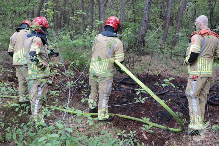 Beginnende bosbrand snel geblust