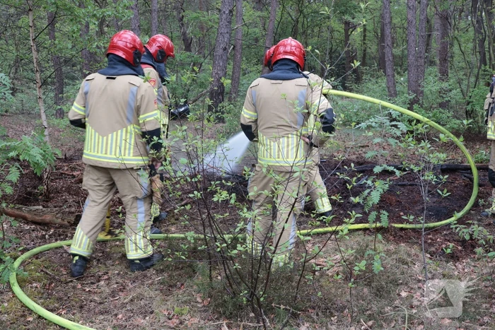 Beginnende bosbrand snel geblust