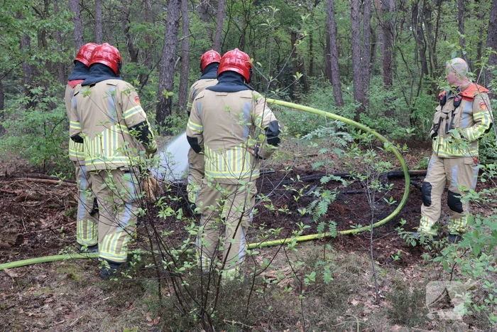 Beginnende bosbrand snel geblust
