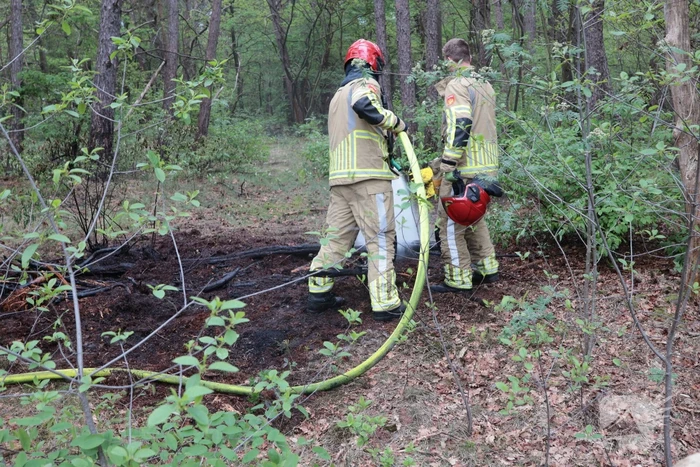Beginnende bosbrand snel geblust