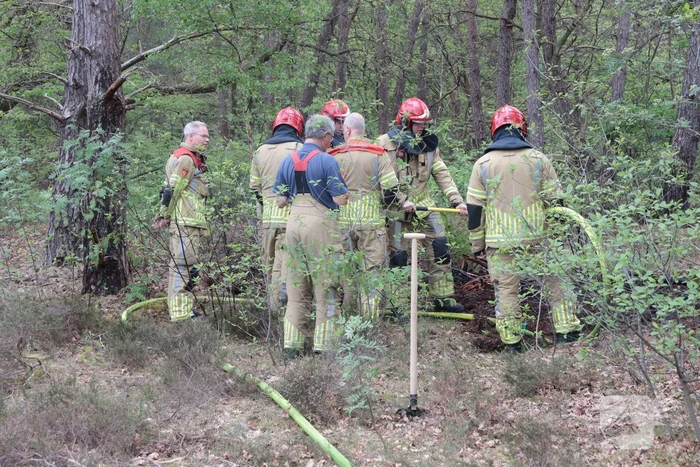 Beginnende bosbrand snel geblust