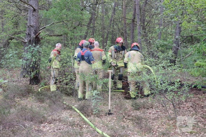 Beginnende bosbrand snel geblust