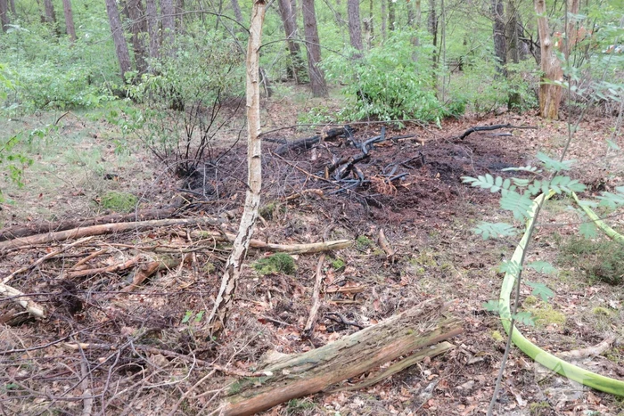 Beginnende bosbrand snel geblust