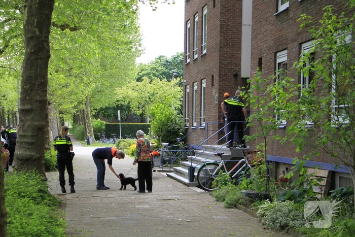 Vrouw aangehouden na incident met postbezorger
