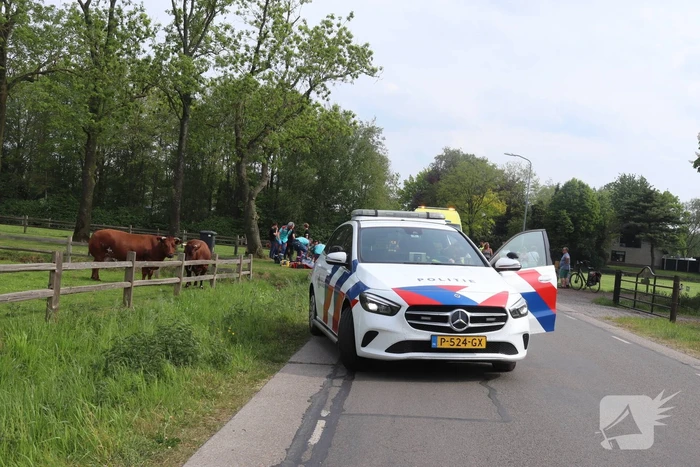 Motorrijder ernstig gewond bij ongeval, traumateam ingezet