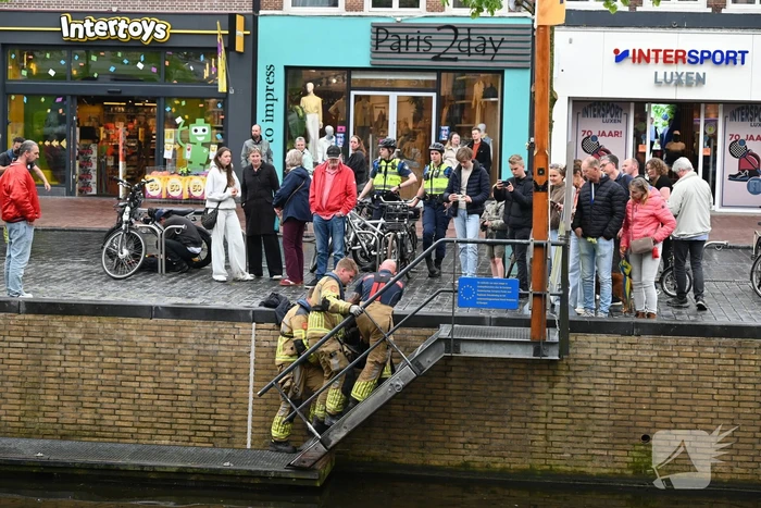 Brandweer redt ree uit het water