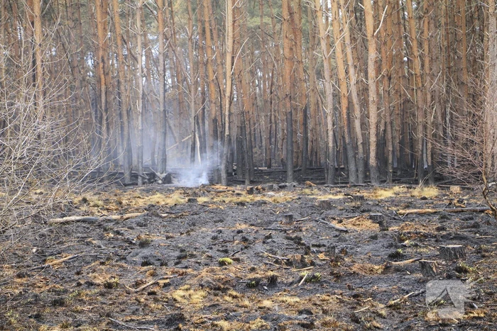 Schade door natuurbrand goed zichtbaar