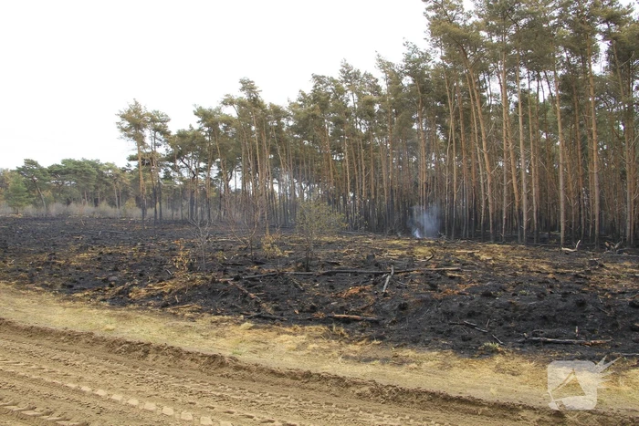 Schade door natuurbrand goed zichtbaar
