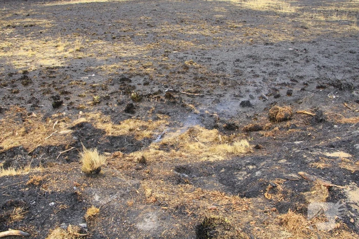 Schade door natuurbrand goed zichtbaar