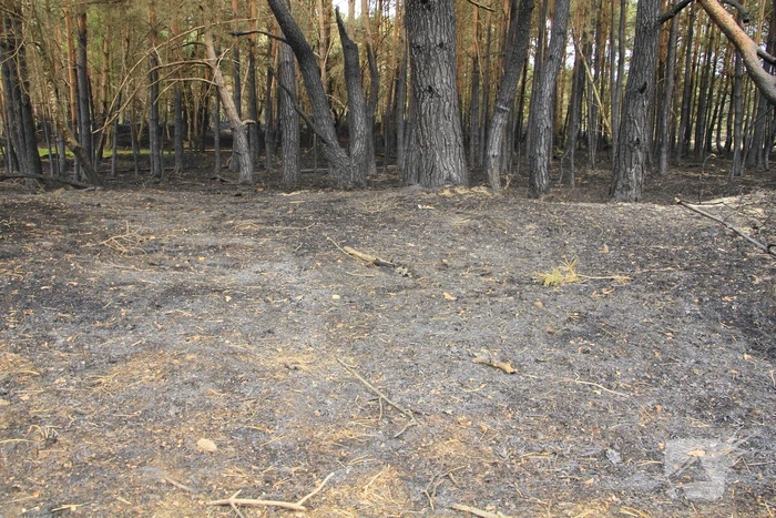 Schade door natuurbrand goed zichtbaar