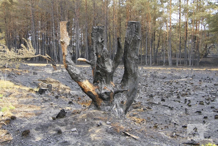 Schade door natuurbrand goed zichtbaar