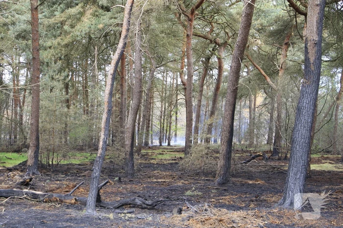 Schade door natuurbrand goed zichtbaar