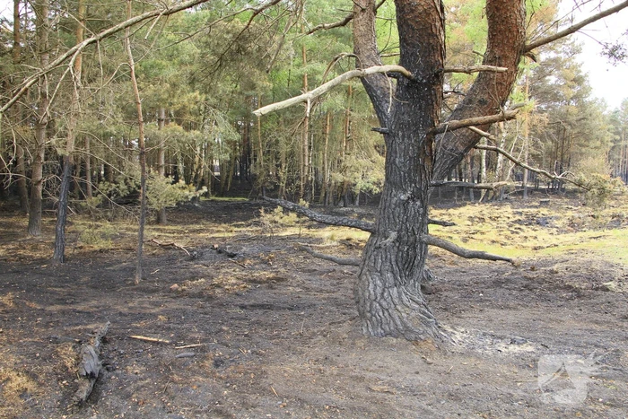 Schade door natuurbrand goed zichtbaar