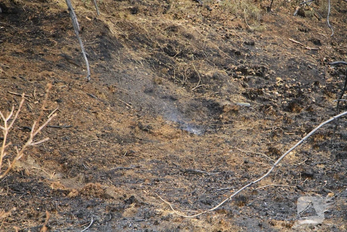 Schade door natuurbrand goed zichtbaar