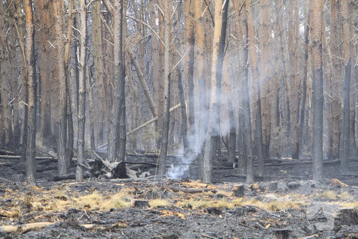 Schade door natuurbrand goed zichtbaar