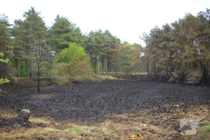 Schade door natuurbrand goed zichtbaar