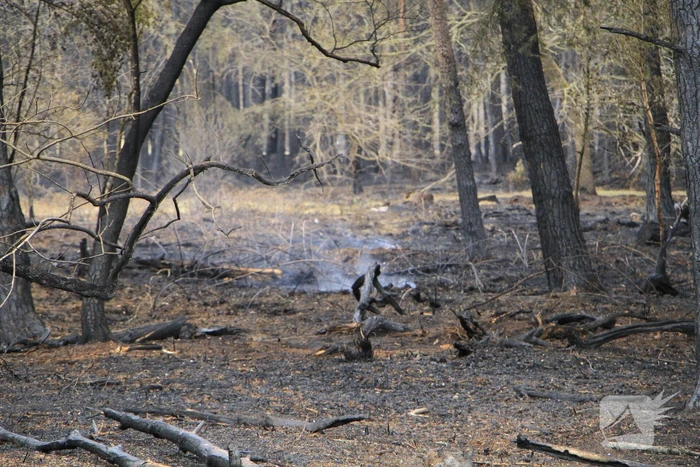 Schade door natuurbrand goed zichtbaar