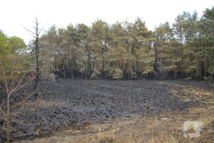 Schade door natuurbrand goed zichtbaar