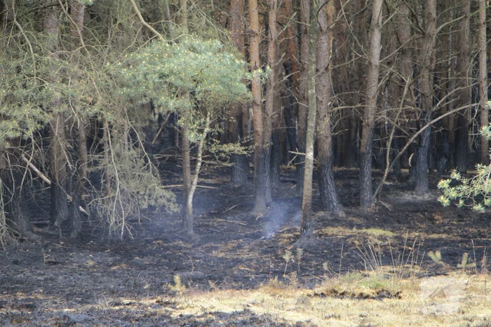 Schade door natuurbrand goed zichtbaar