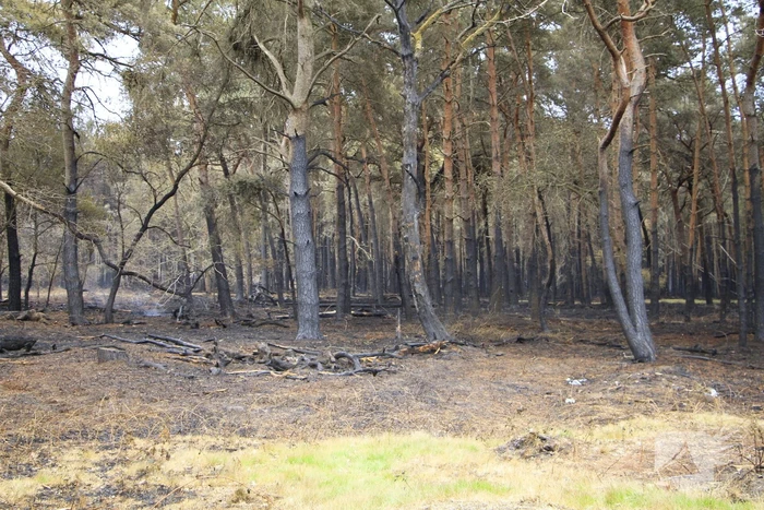 Schade door natuurbrand goed zichtbaar