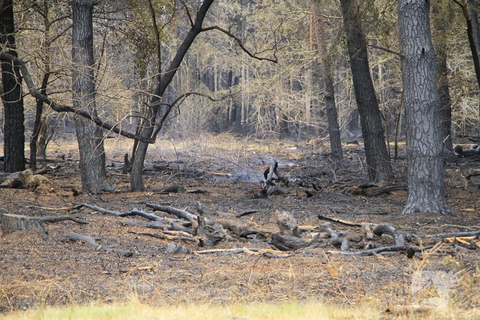 Schade door natuurbrand goed zichtbaar