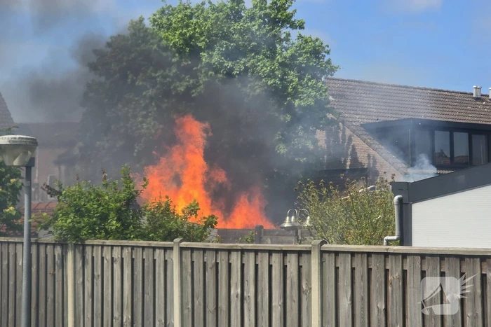 brand punter 48 lelystad
