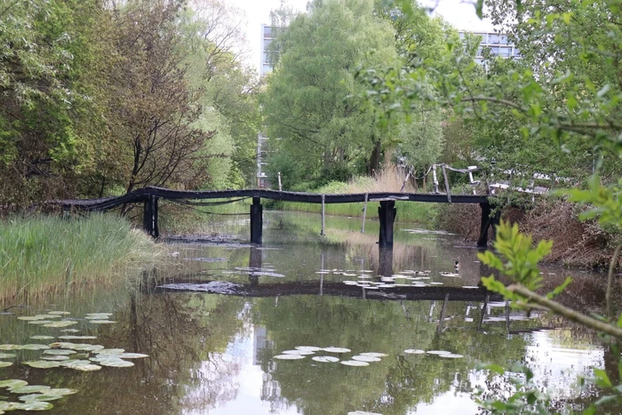 Houten brug verwoest door brand