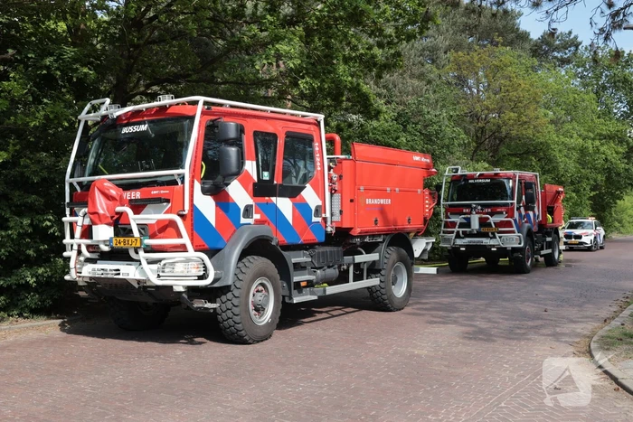 Brand in bosgebied onder controle