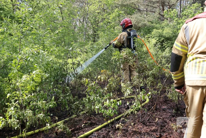 Brand in bosgebied onder controle
