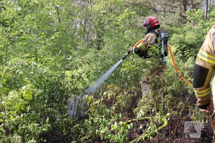 Brand in bosgebied onder controle