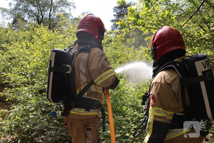 Brand in bosgebied onder controle