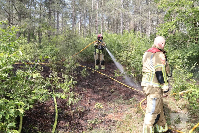 Brand in bosgebied onder controle