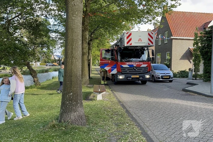 Brandweer redt meeuw uit benarde situatie