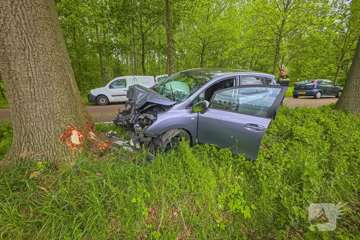 Auto botst frontaal tegen boom twee gewonden