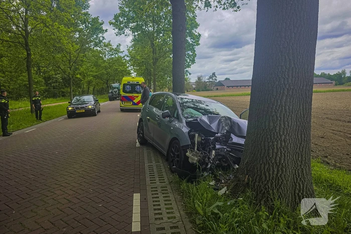 Auto botst frontaal tegen boom twee gewonden