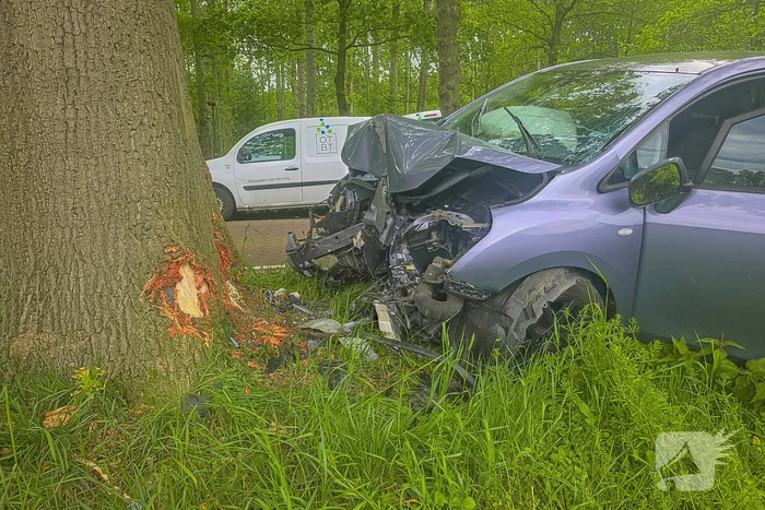 Auto botst frontaal tegen boom twee gewonden
