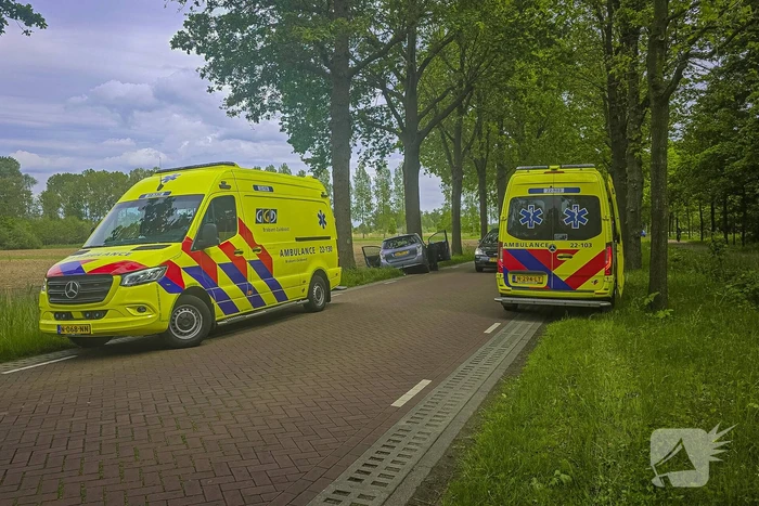 Auto botst frontaal tegen boom twee gewonden