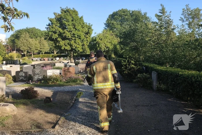 Brandweer redt aalscholver