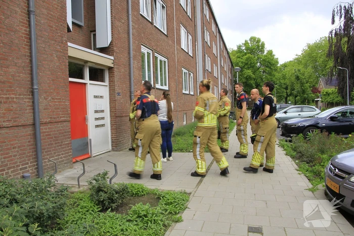 Brandweer redt zwaluwen te laat