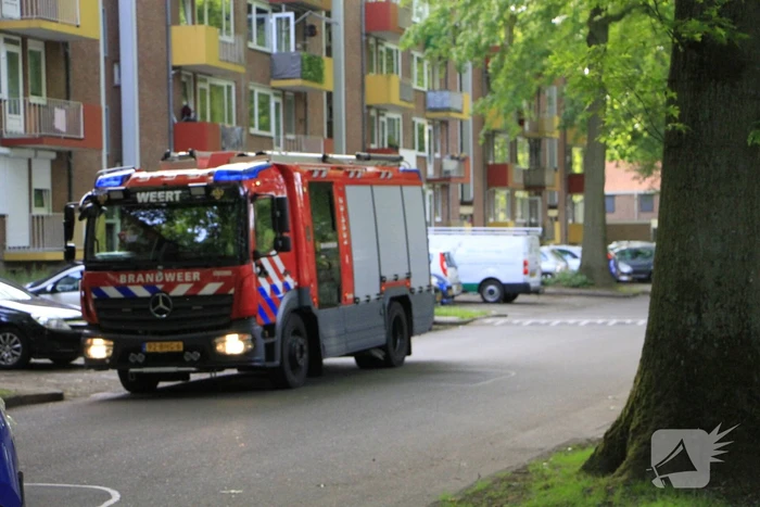 Kinderen helpen brandweer bij bevrijding van vastzittende kraai