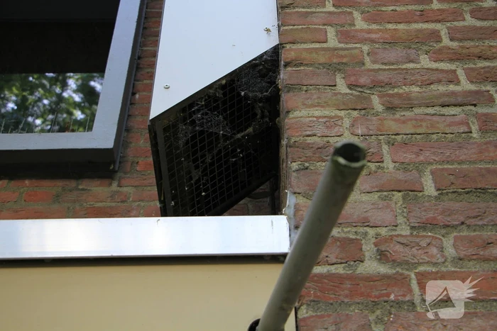 Kinderen helpen brandweer bij bevrijding van vastzittende kraai
