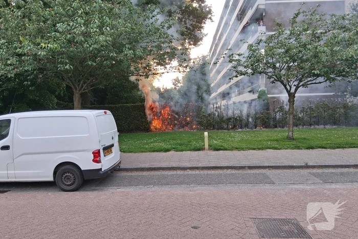 brand prins willem-alexanderpark veenendaal