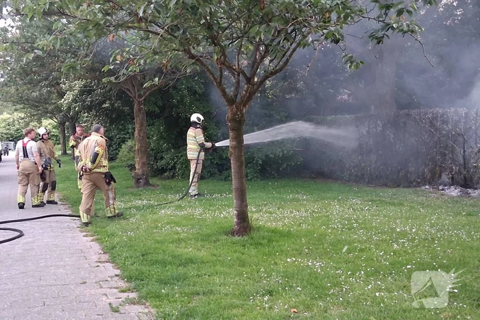 Brand in struiken snel gedoofd