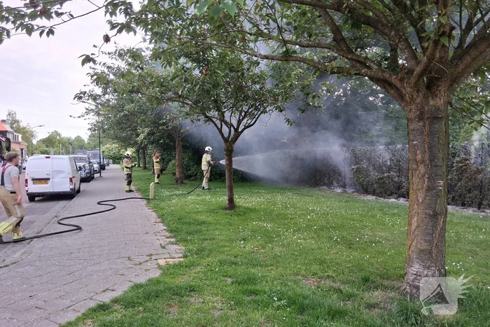 Brand in struiken snel gedoofd