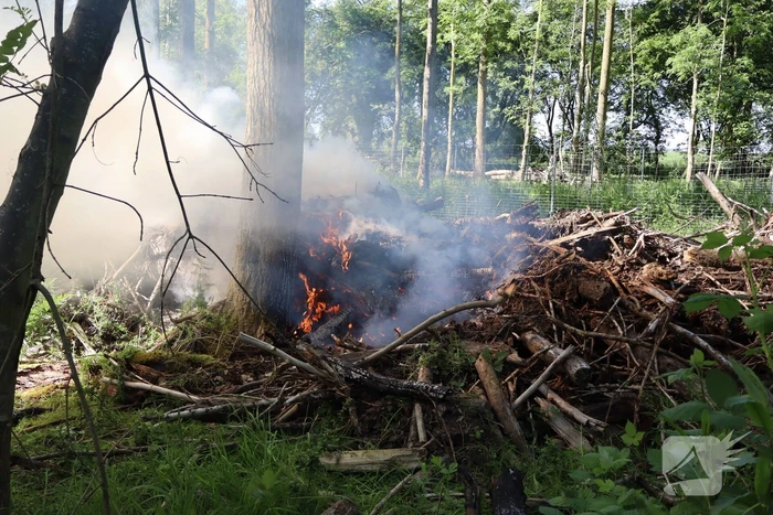 Twee branden in bosgebied geblust